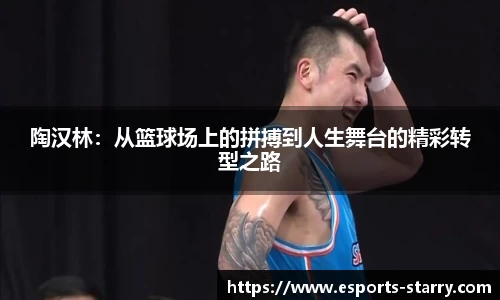 陶汉林：从篮球场上的拼搏到人生舞台的精彩转型之路